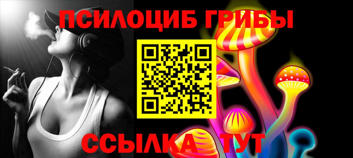 Псилоцибиновые грибы Cubensis  Вход с VPN  Электрогорск  Галлюциногенные грибы мицелий 